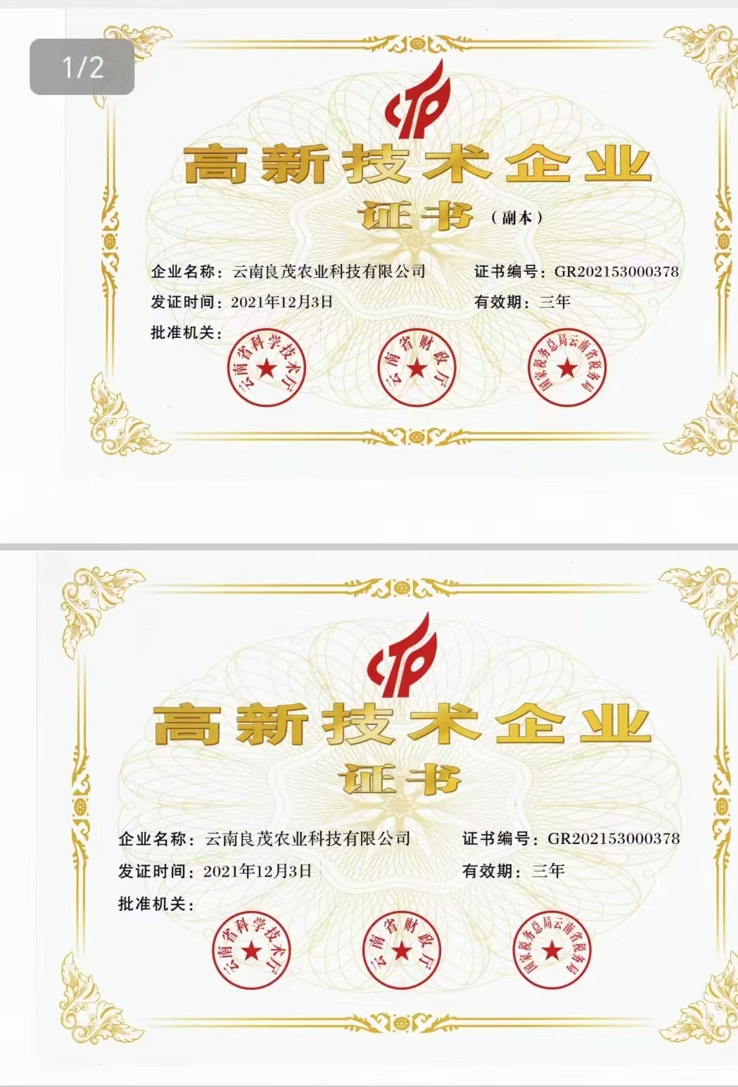 高新技术企业认证