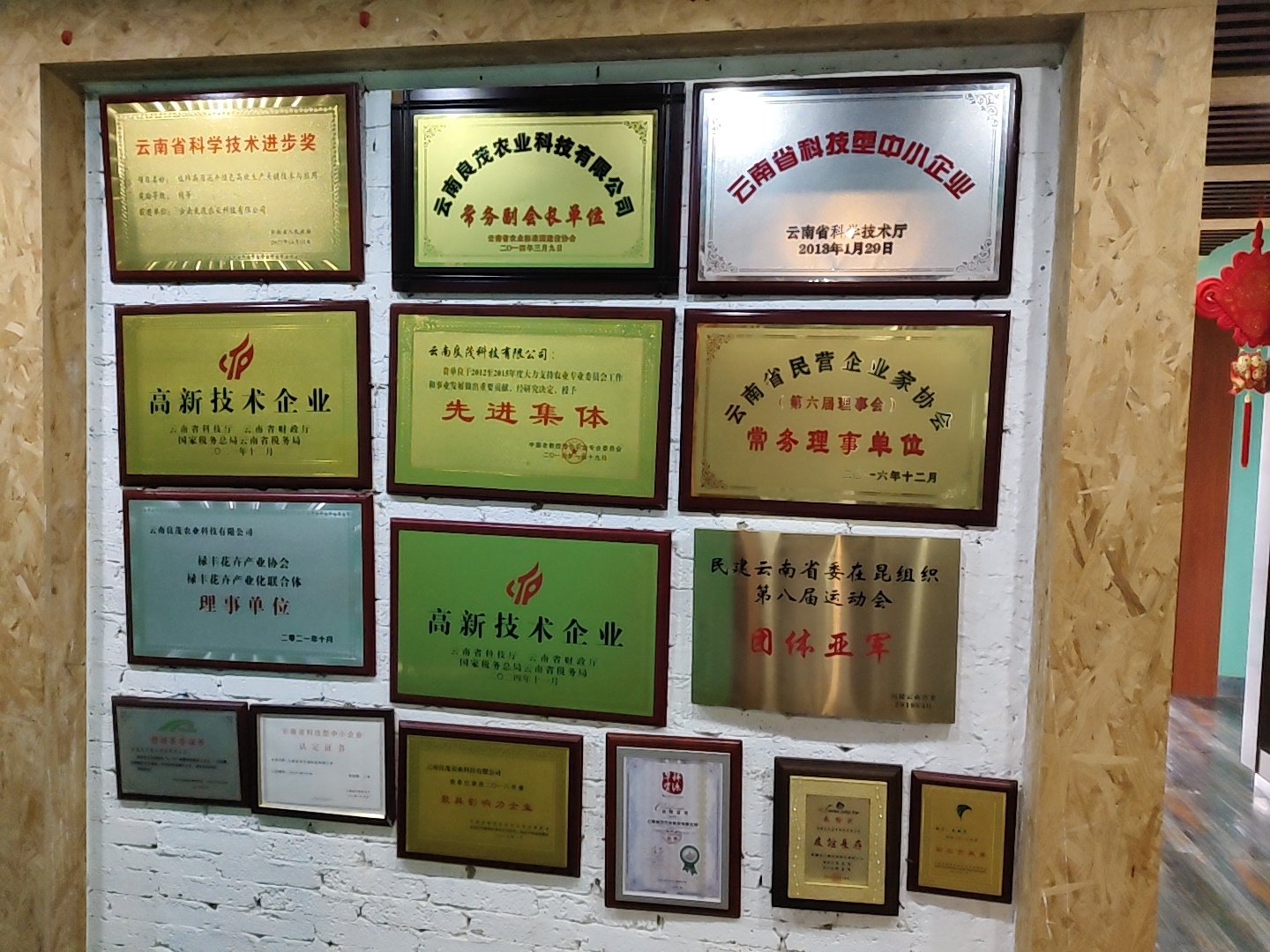 一项重要发明专利证书